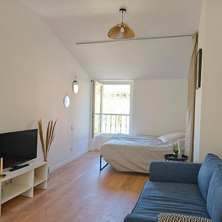 Apartamento Cosy Studio - Heart Of Millau Exterior foto