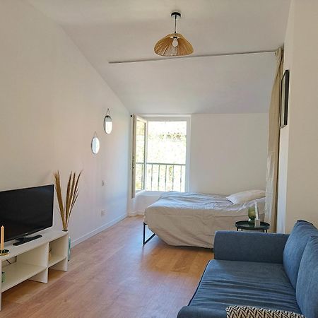 Cosy Studio - Heart Of Millau Exterior foto
